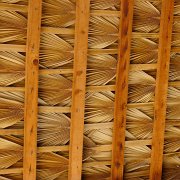 Baja2011 613 : Baja2011